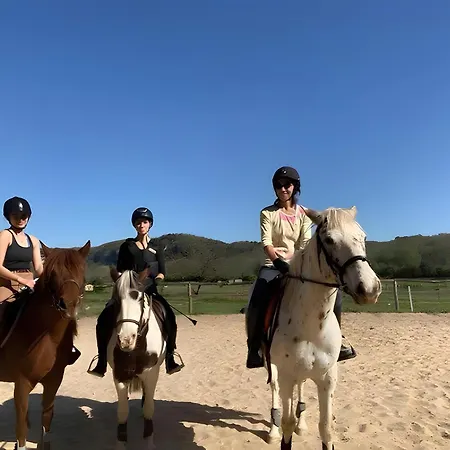 Appartement Lumineux *