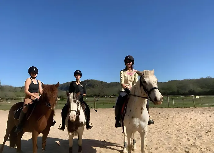 Apartment Lumineux *